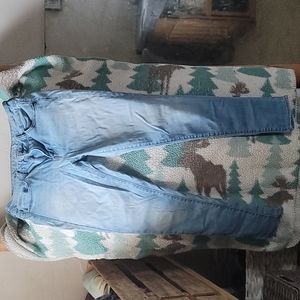 American Eagle Jeggings